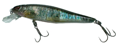 Calappa