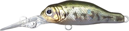 ZC-45 バス