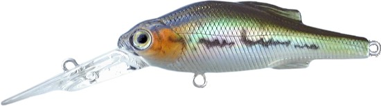 ZC-65M バス