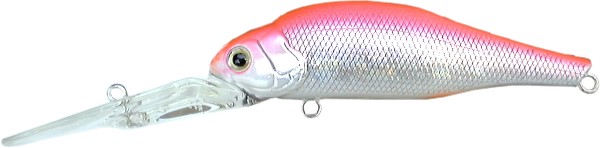 ZC-75SD オレンジスポーン